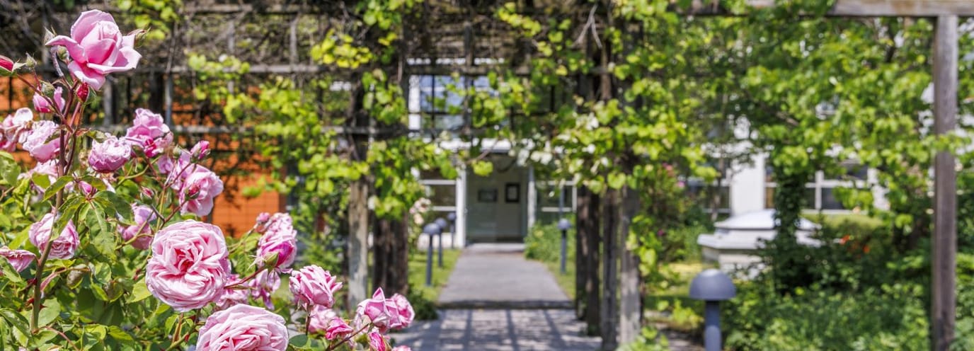 Am Kurpark Retirement Oberlaa, independent living in Vienna, AT — Pathway framed by blooming roses and greenery