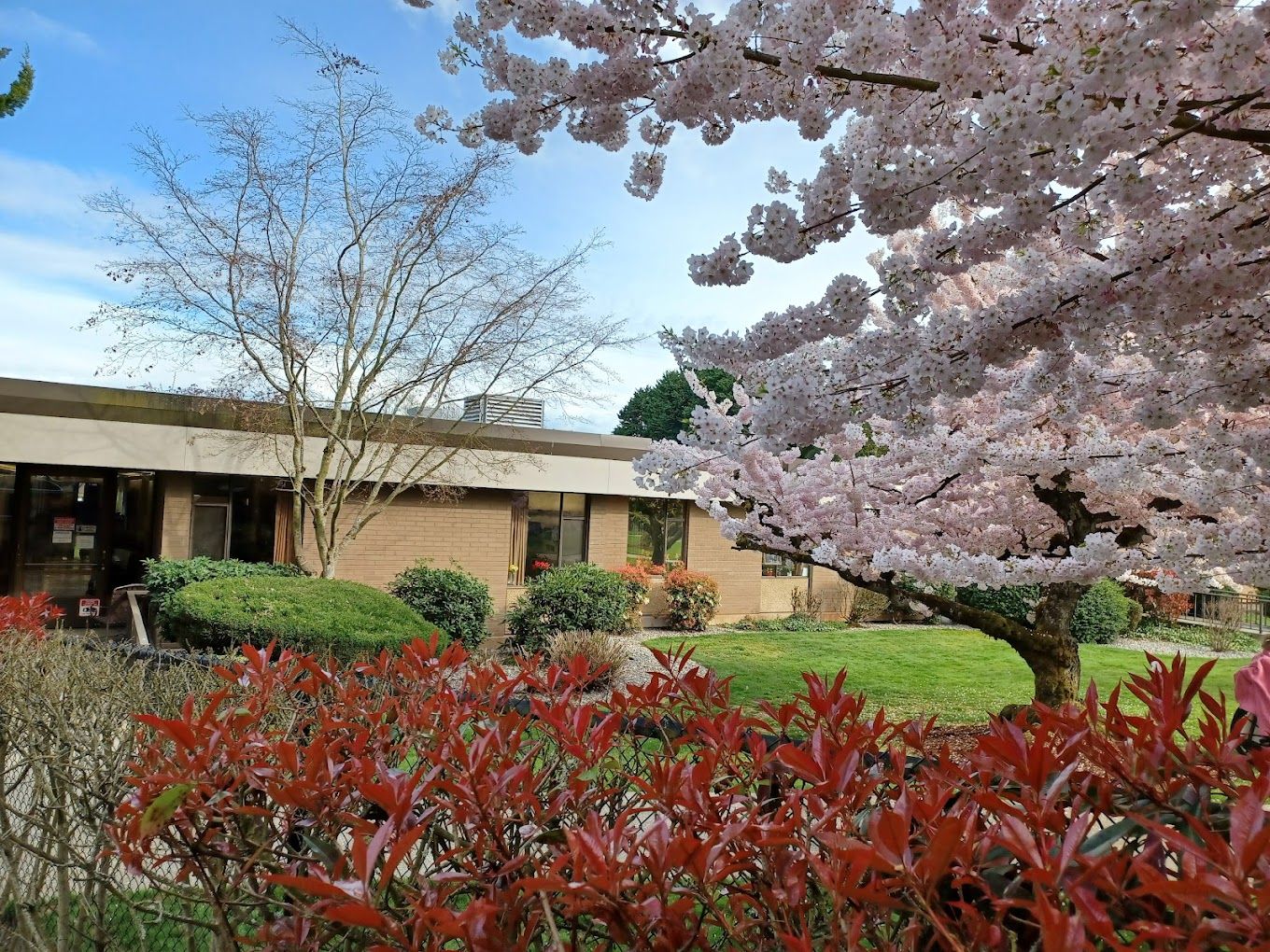 Exterior view of Polack Adult Day Center surrounded by blooming flowers