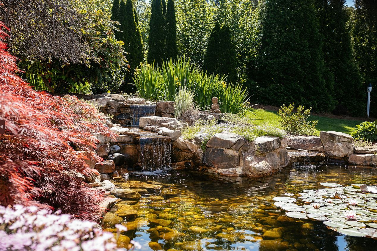 A serene outdoor pond with a waterfall and lush greenery