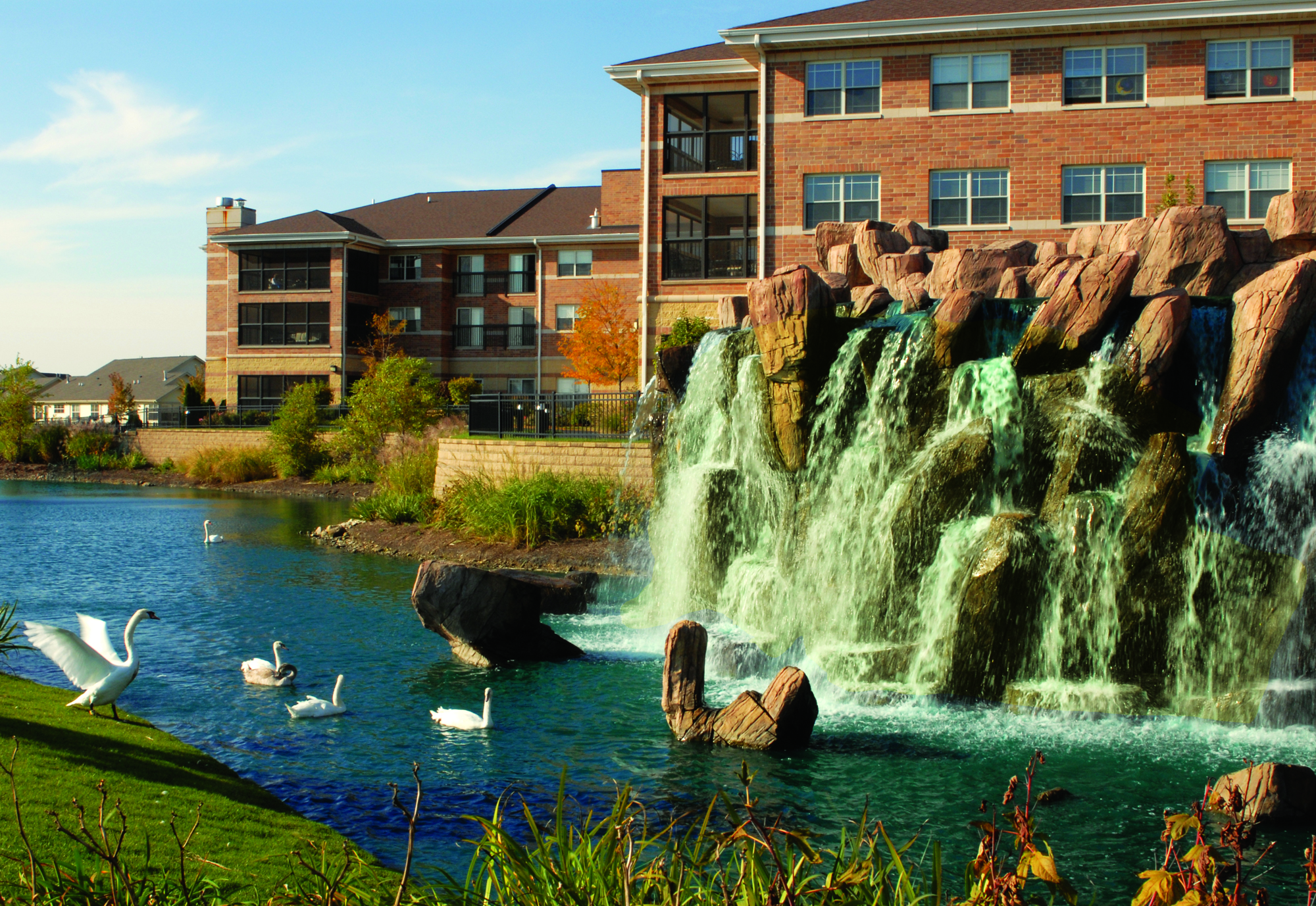 Outdoor waterfall with swans near the facility