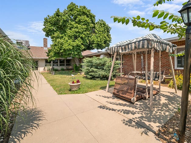 Outdoor area with a swing and greenery