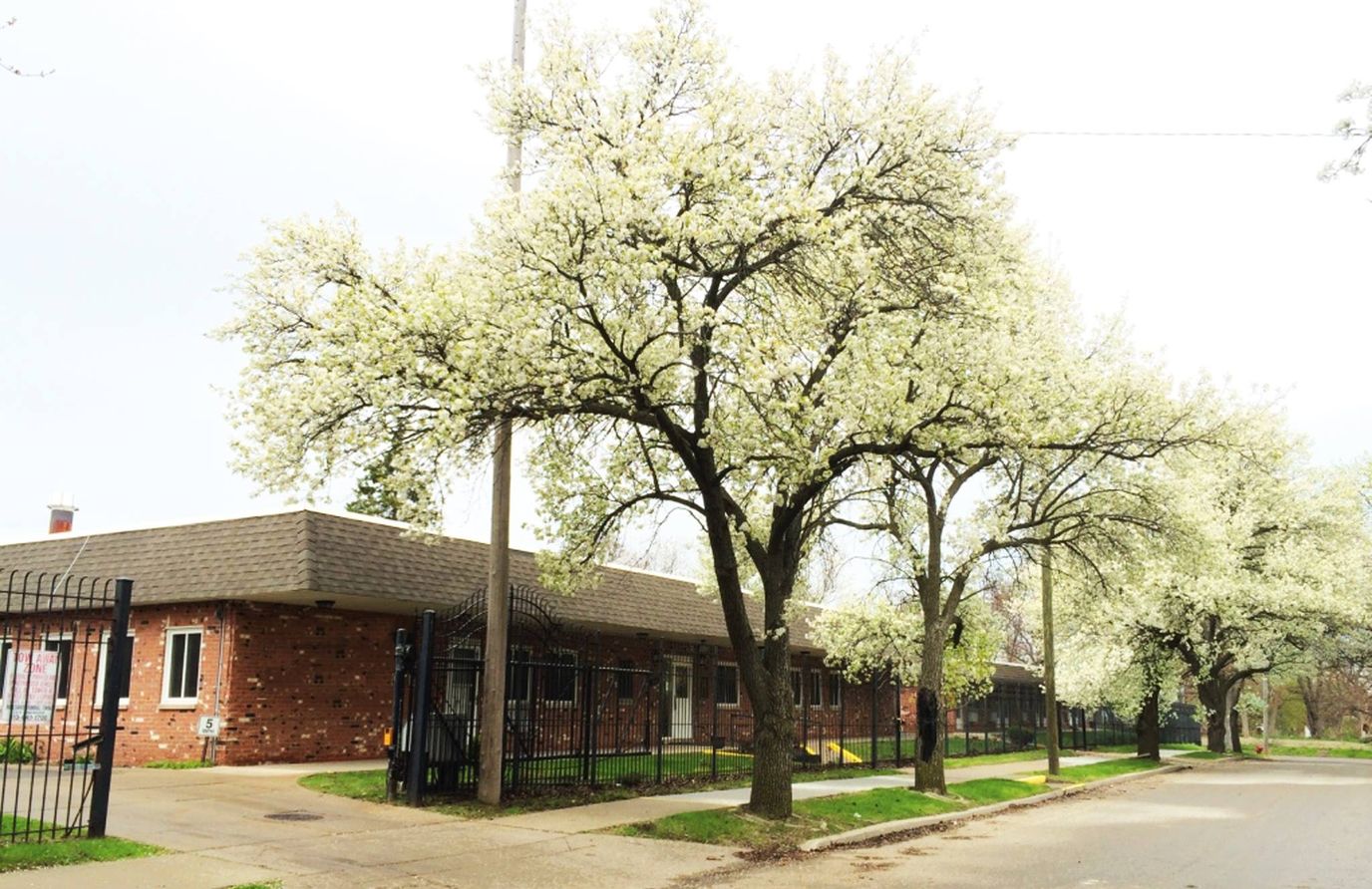 Exterior view of a nursing home surrounded by flowering trees