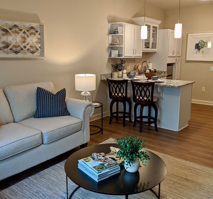 A cozy living room area with kitchen in a senior living space