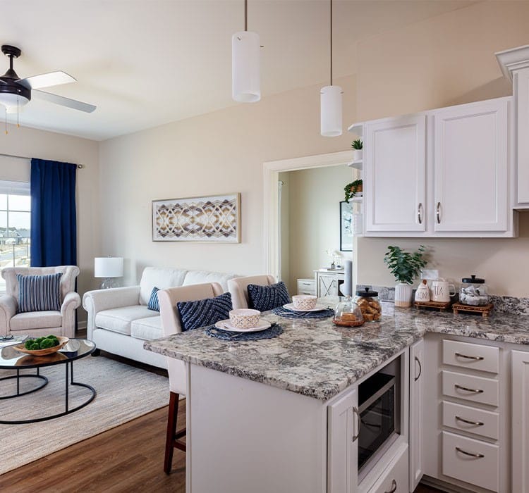 Bright living space with modern furnishings