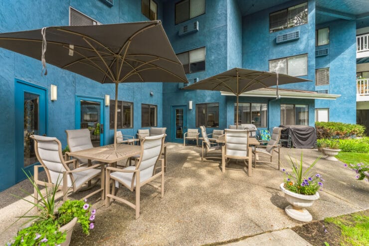 Outdoor seating area with umbrellas and plants