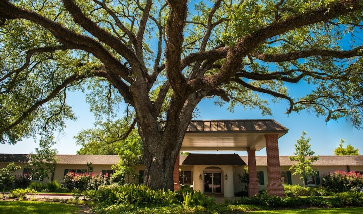Majestic tree in front of the retirement facility