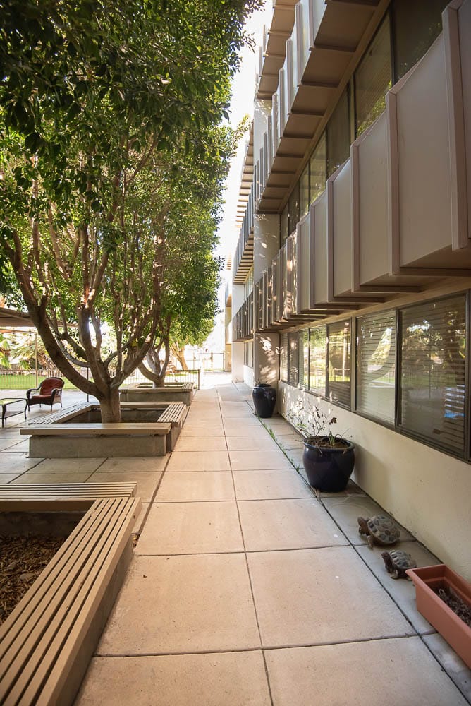 Pathway with trees and planters at the facility