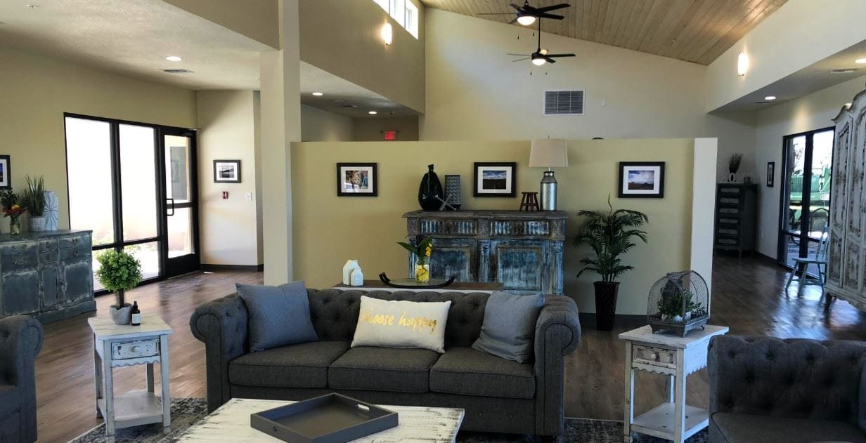 Lounge area with a stylish gray couch and decorative accents