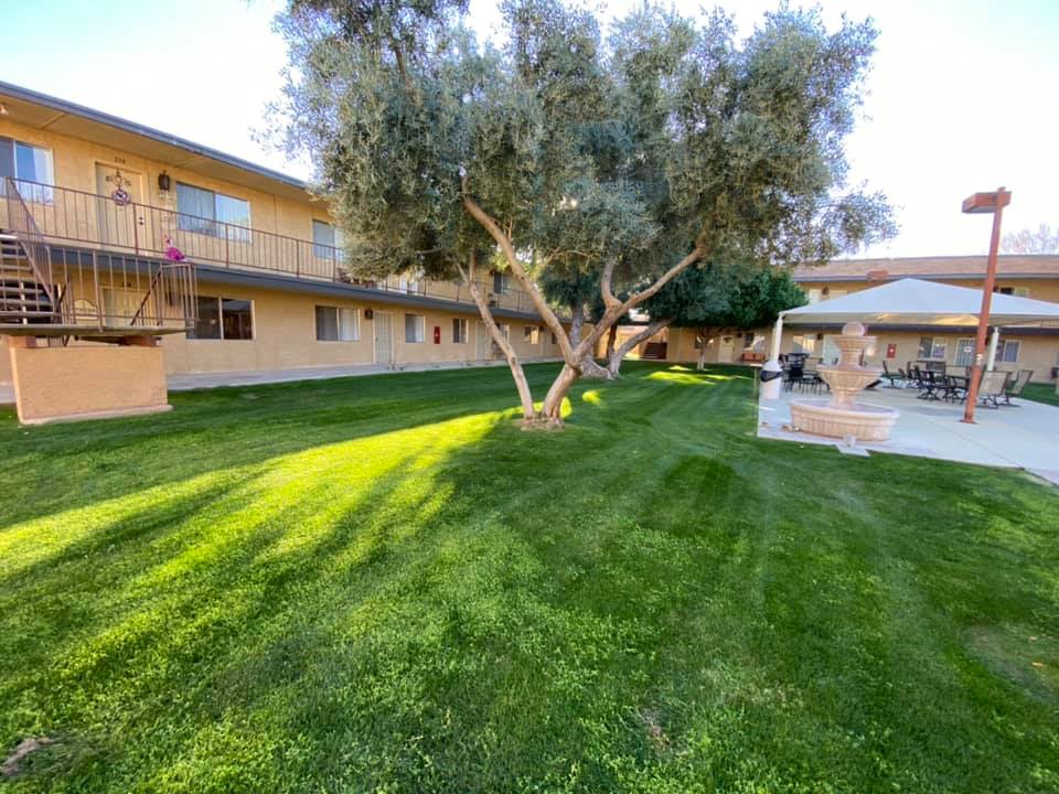 Well-maintained outdoor space with grass and trees