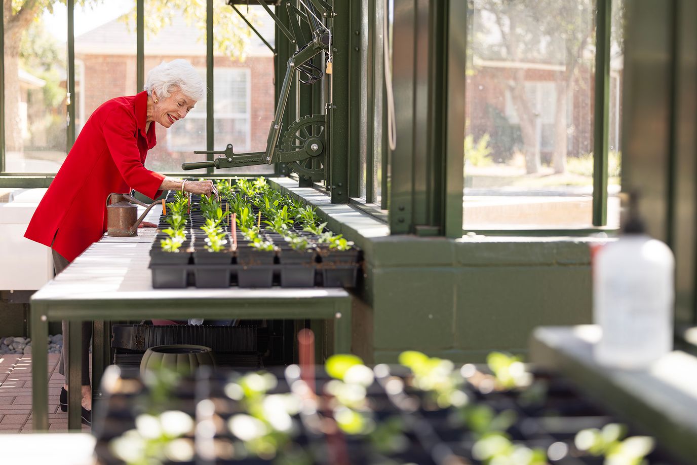 Resident tending to plants in a greenhouse