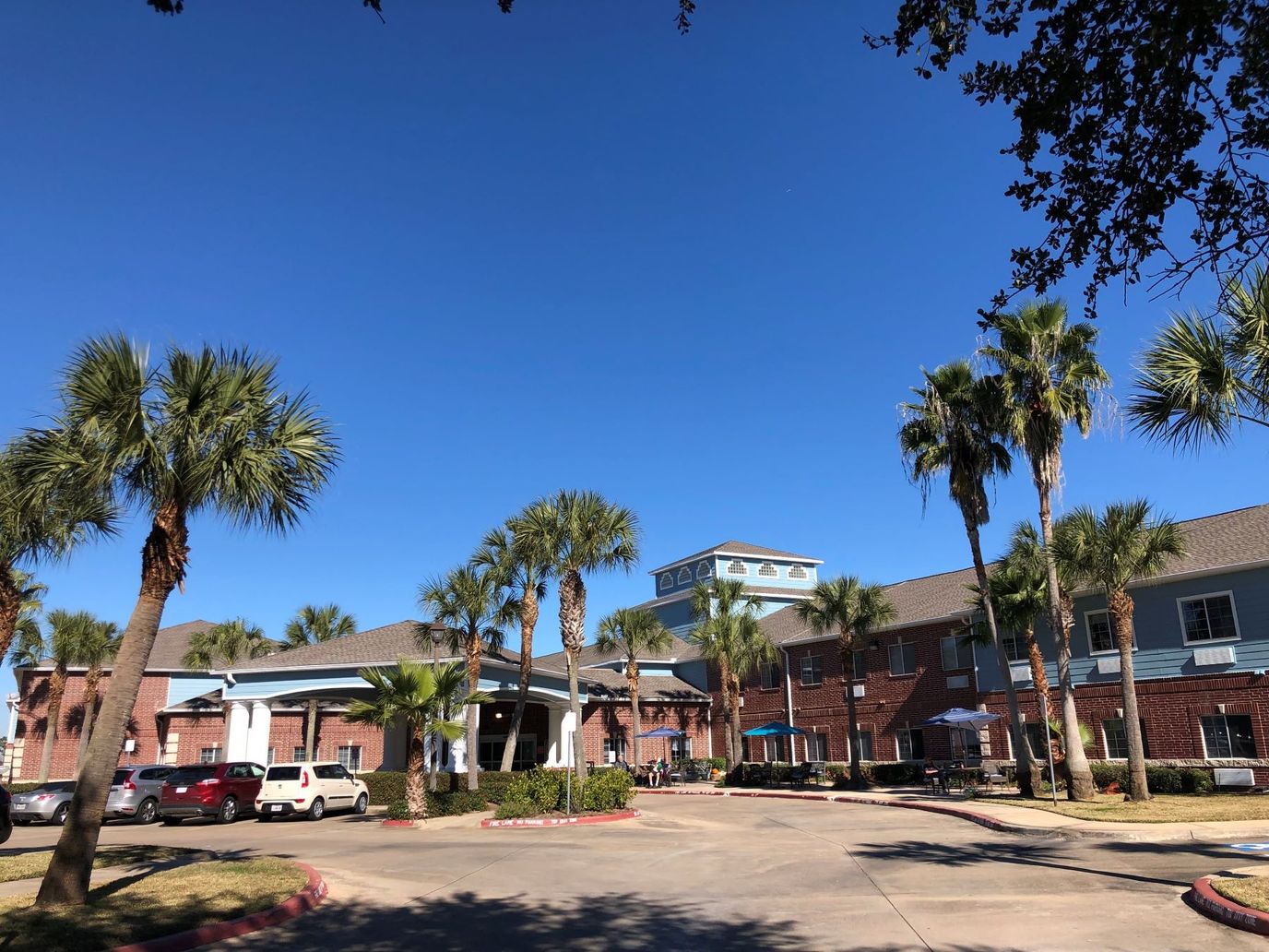 Exterior view of Regal Estates of League City with palm trees