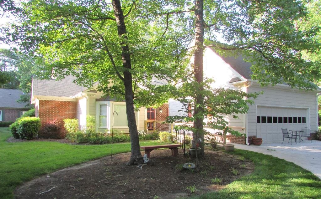 A peaceful outdoor space with trees and seating