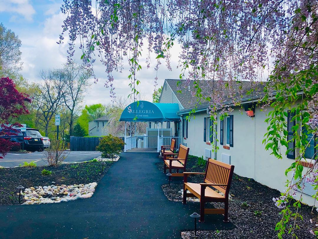 Entrance path with seating and flowering trees