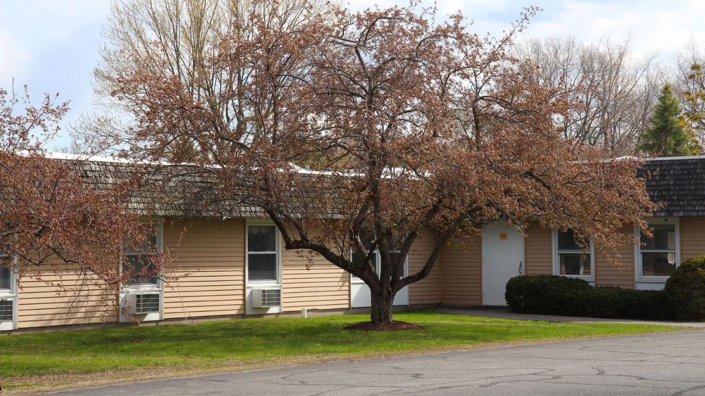 Building exterior with a tree in the foreground