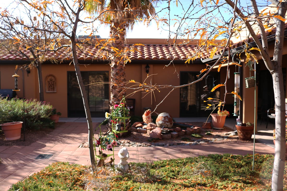 Quiet outdoor space with plants and a decorative feature