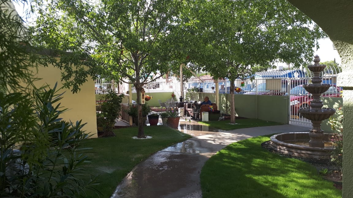 Outdoor space with residents enjoying the garden