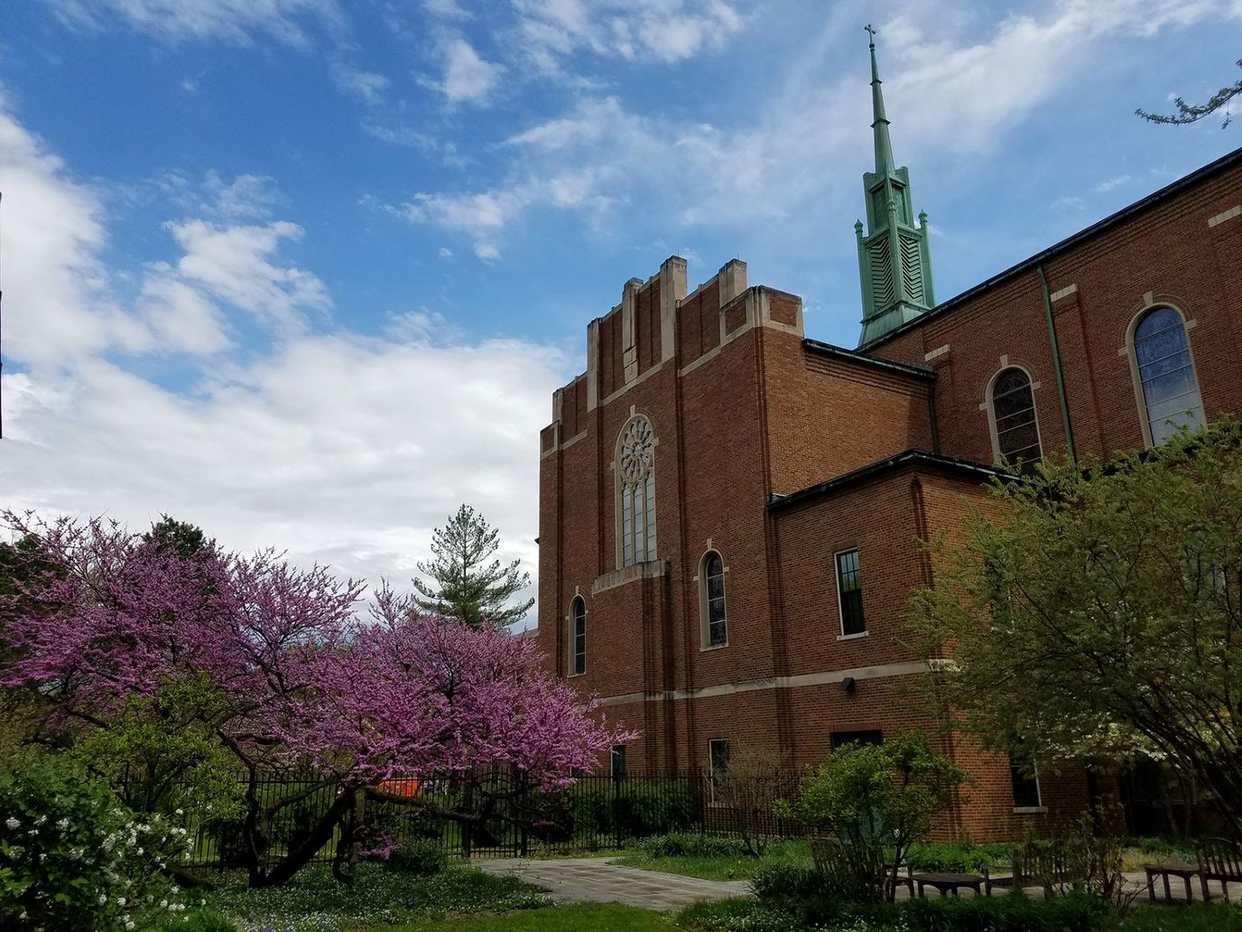Exterior view of a building with blooming trees