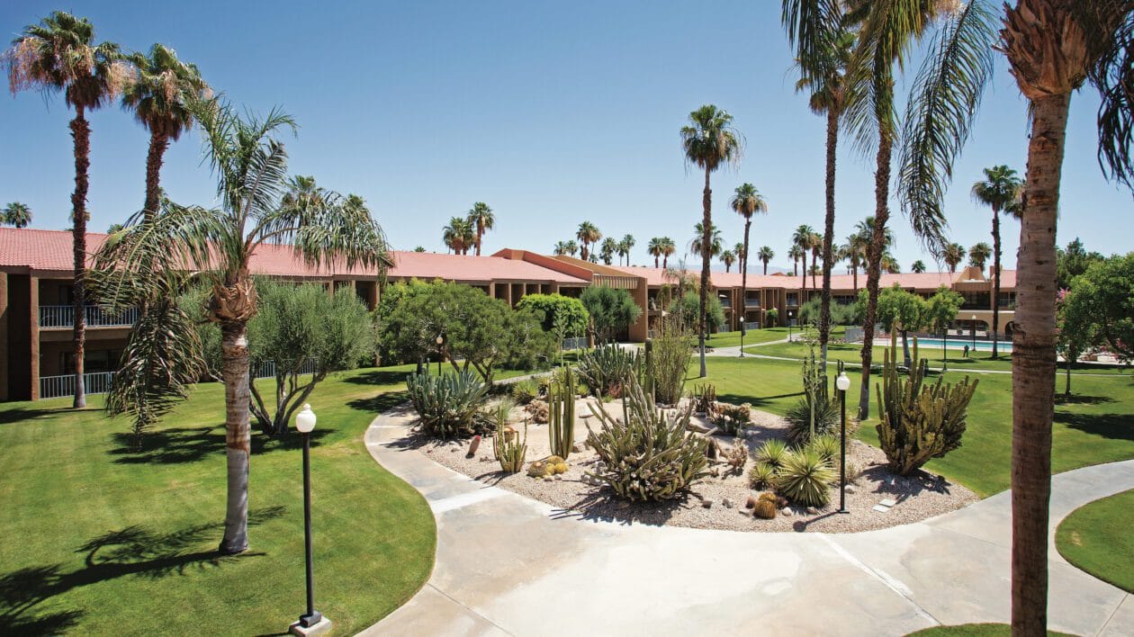 Well-maintained outdoor area with palm trees and landscaping