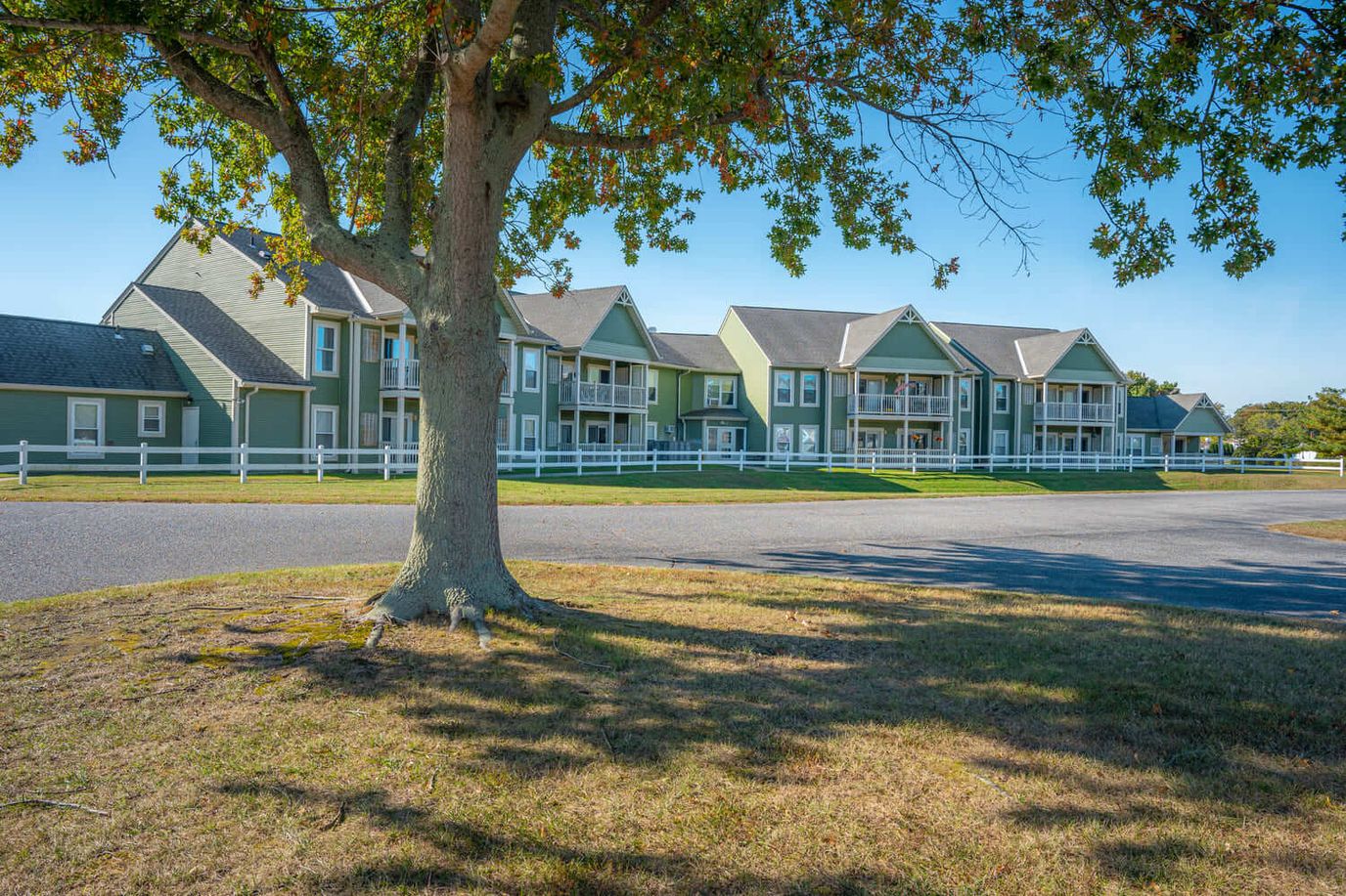 Exterior view of a senior living facility surrounded by greenery