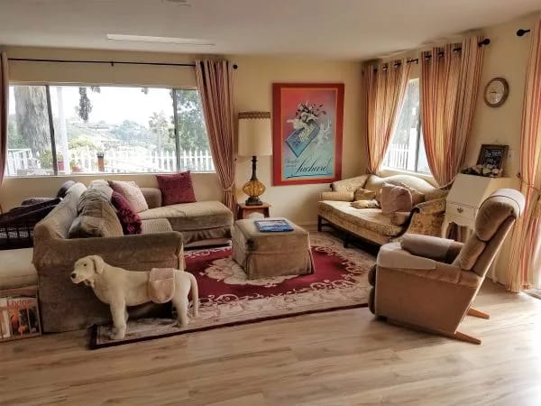 Cozy common area with comfortable seating and large windows