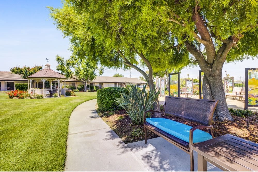 Lush outdoor landscape with seating area and gardens