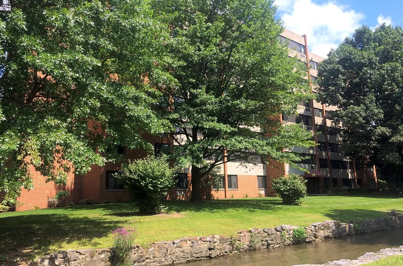Building exterior surrounded by trees and greenery