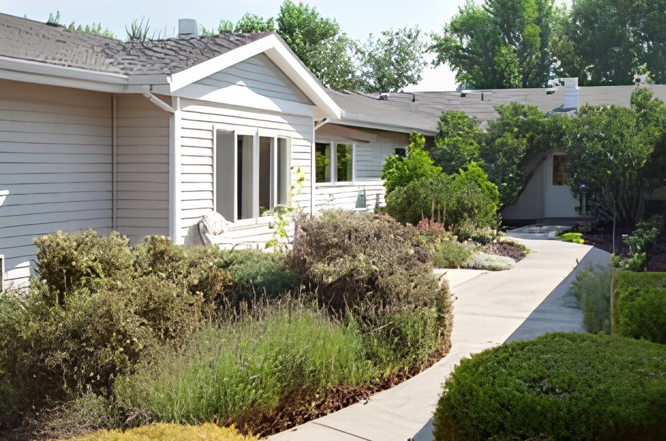 Pathway leading to the facility surrounded by greenery