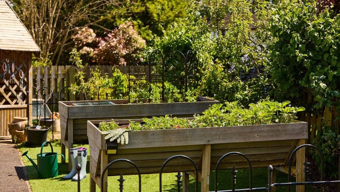 Hallmark Admiral Court, memory care — Raised garden beds with vibrant plants and gardening tools
