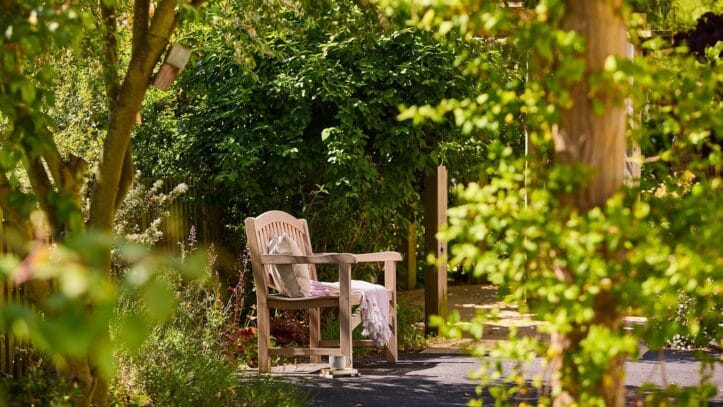 Hallmark Admiral Court, memory care — Bench surrounded by lush greenery in a serene garden