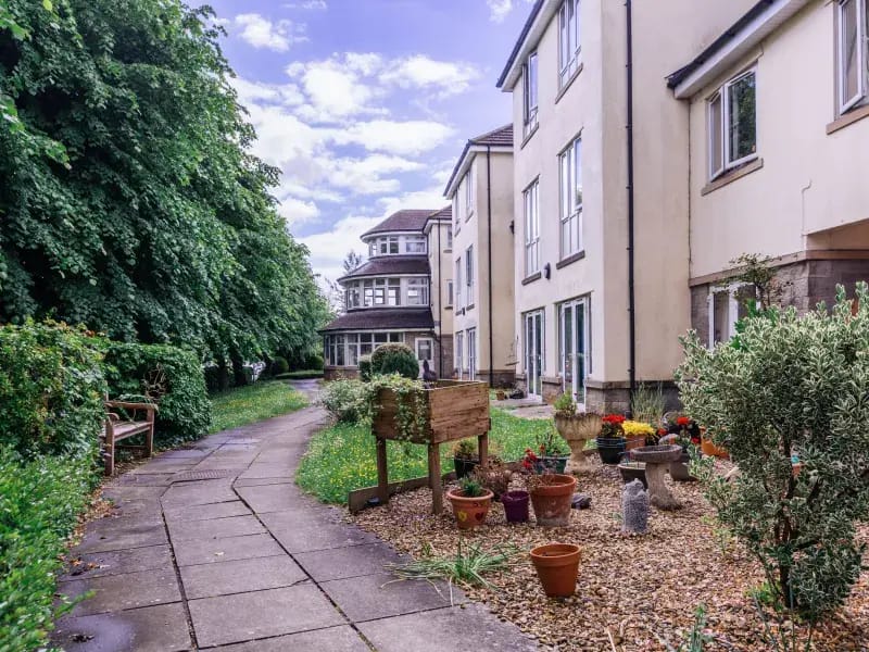 Pathway leading through a garden with blooming flowers