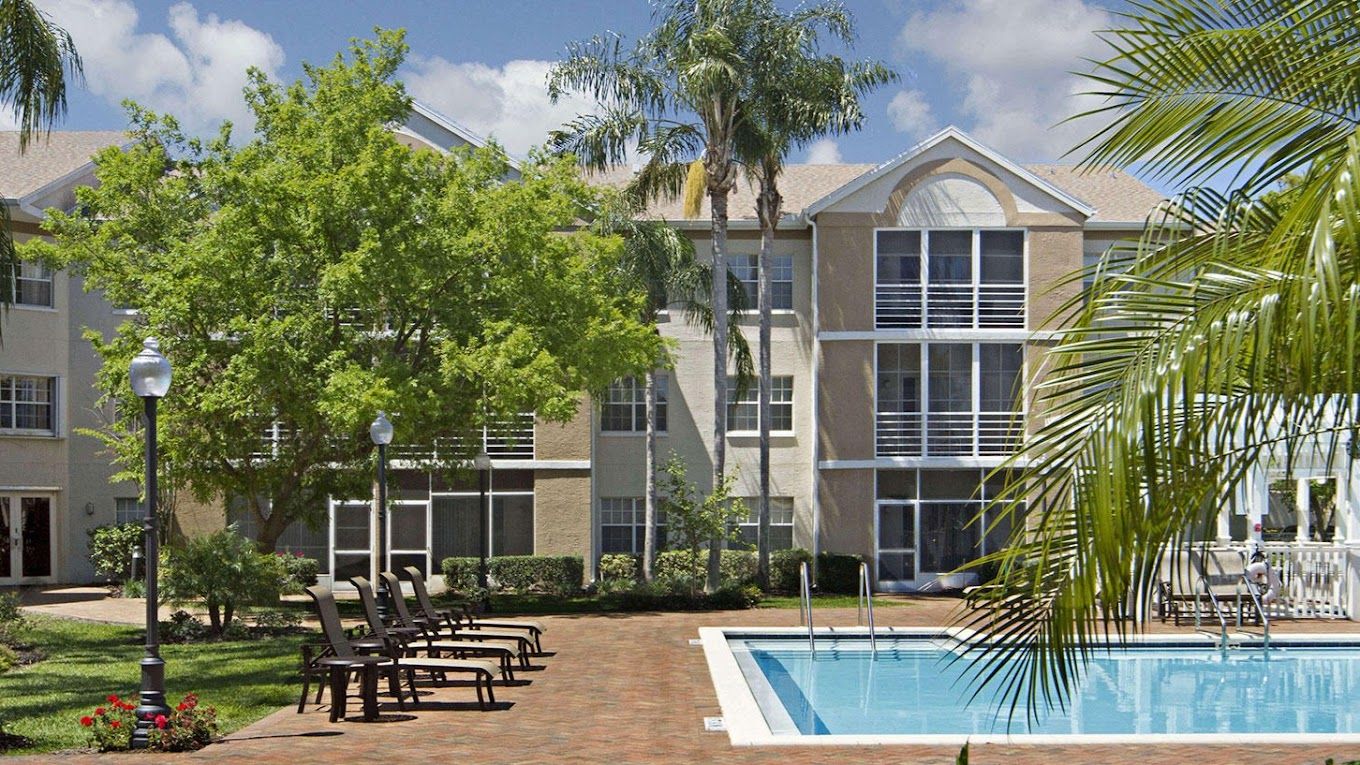 Outdoor pool area with palm trees and seating