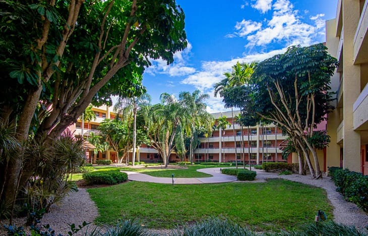 Lush courtyard with trees and walkways