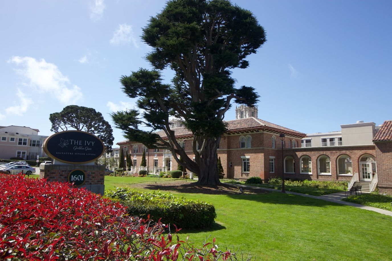 Exterior view of The Ivy at Golden Gate with landscaping