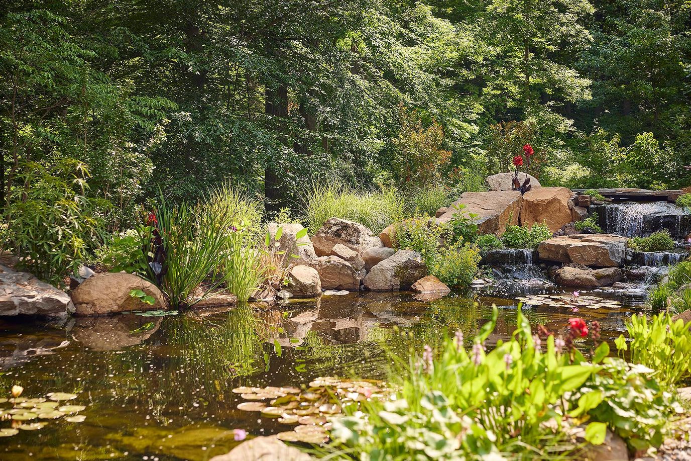 Serene garden with rocks and water features