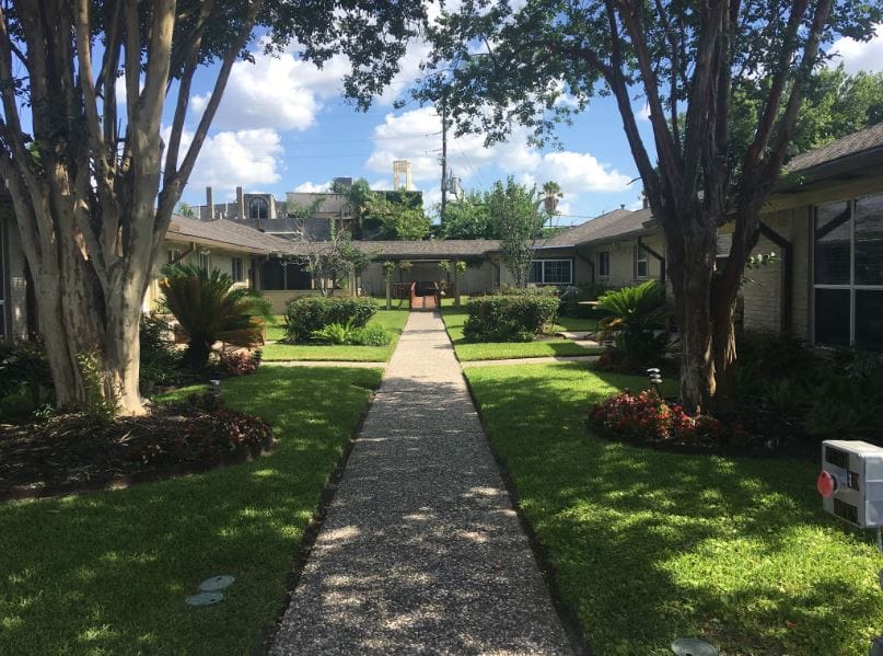 Pathway through a lush outdoor garden area
