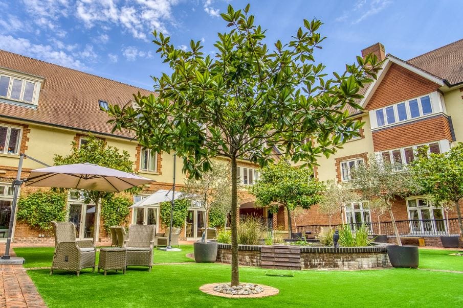 Bright courtyard with tree and seating area