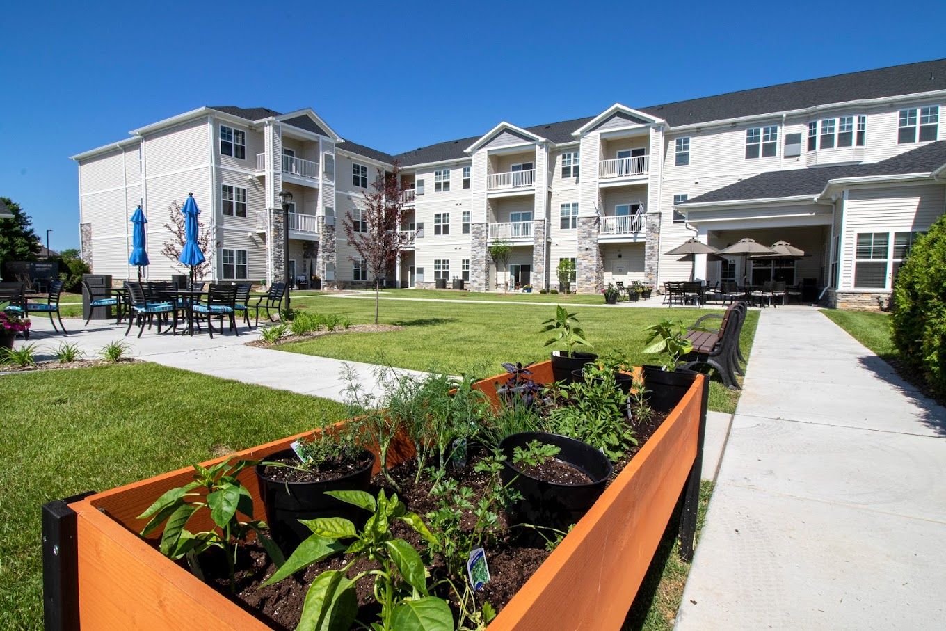 Outdoor garden area with building in background