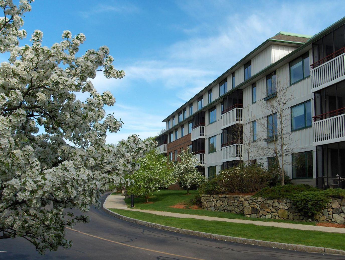 Exterior view of Orchard Cove with flowering tree