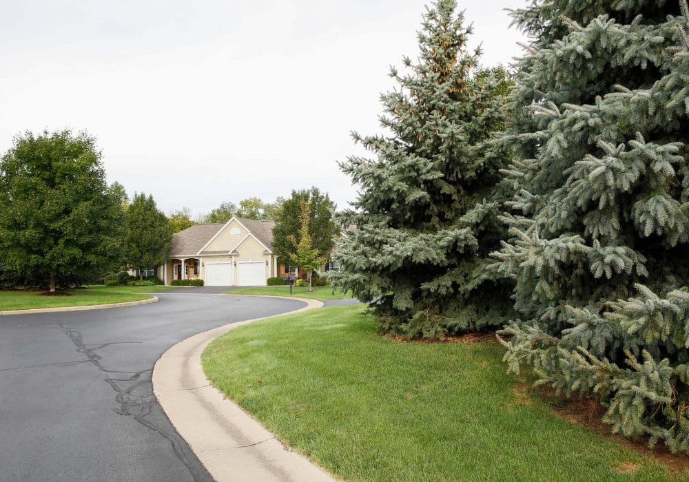 Landscape view of a residential building with greenery