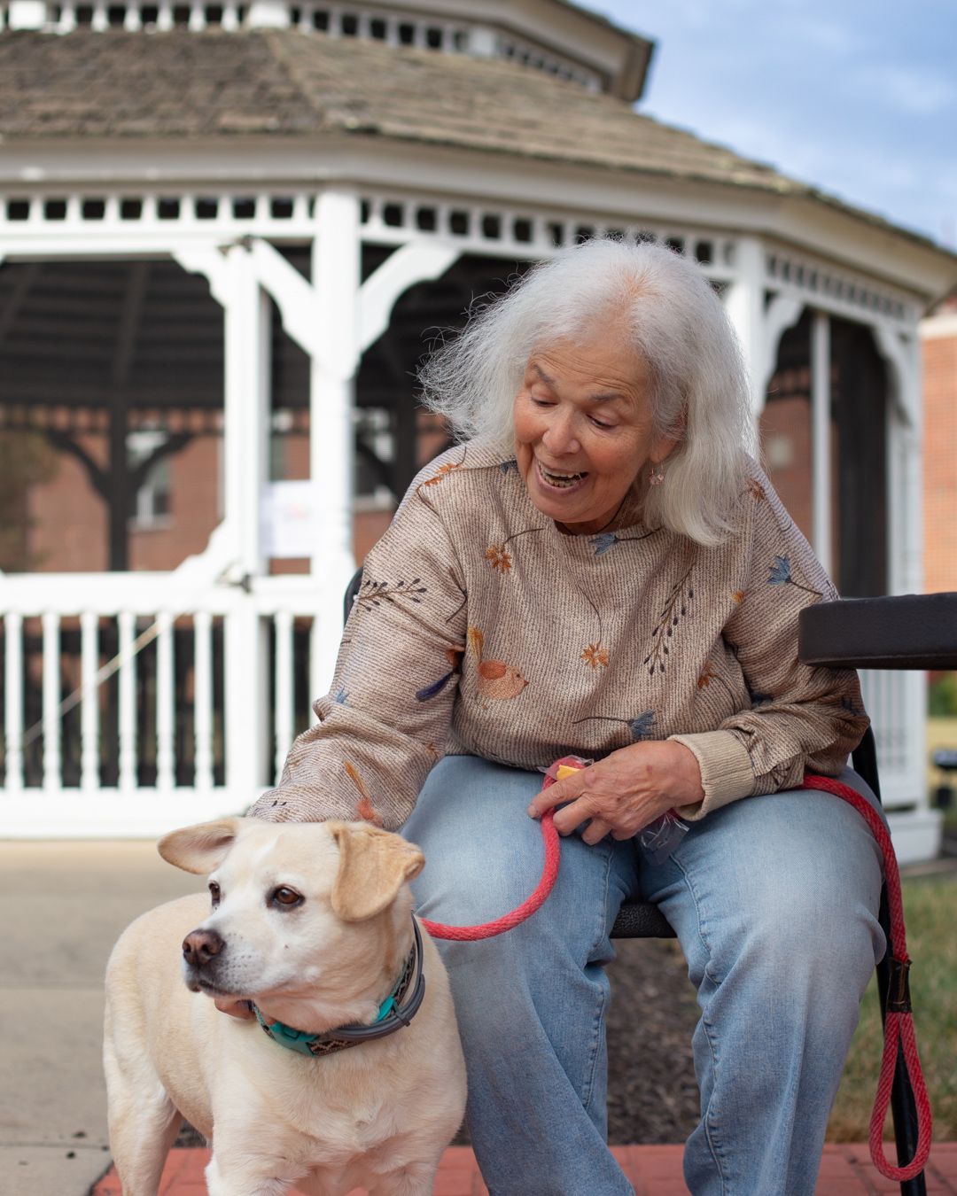 Elderly woman petting a dog near a gazebo