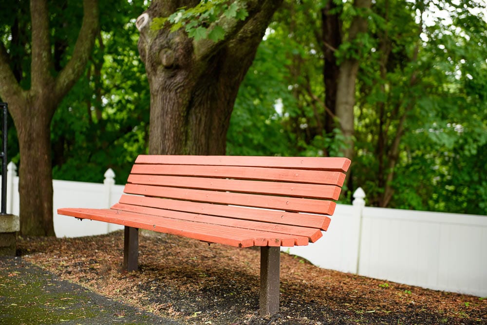 Outdoor bench in a greenery setting