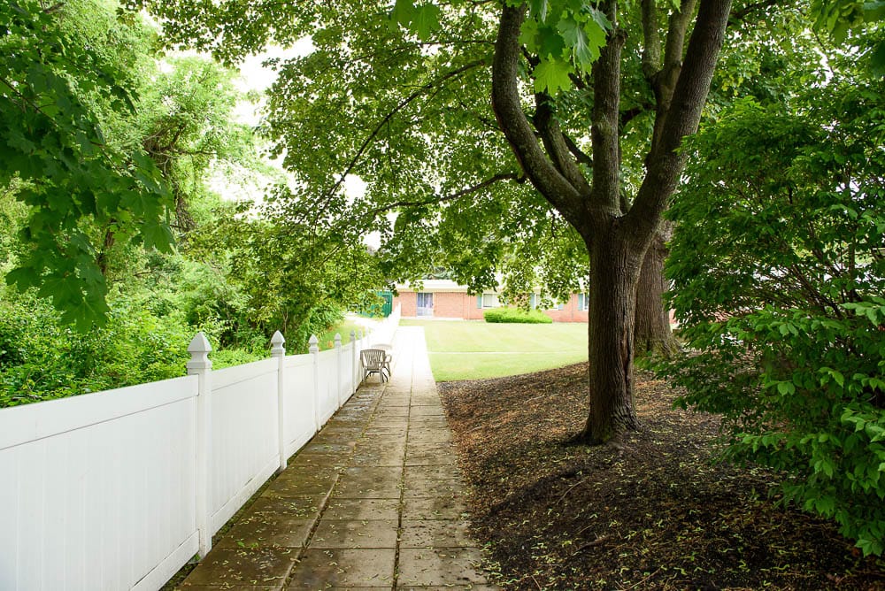 Pathway lined with trees leading to a grassy area