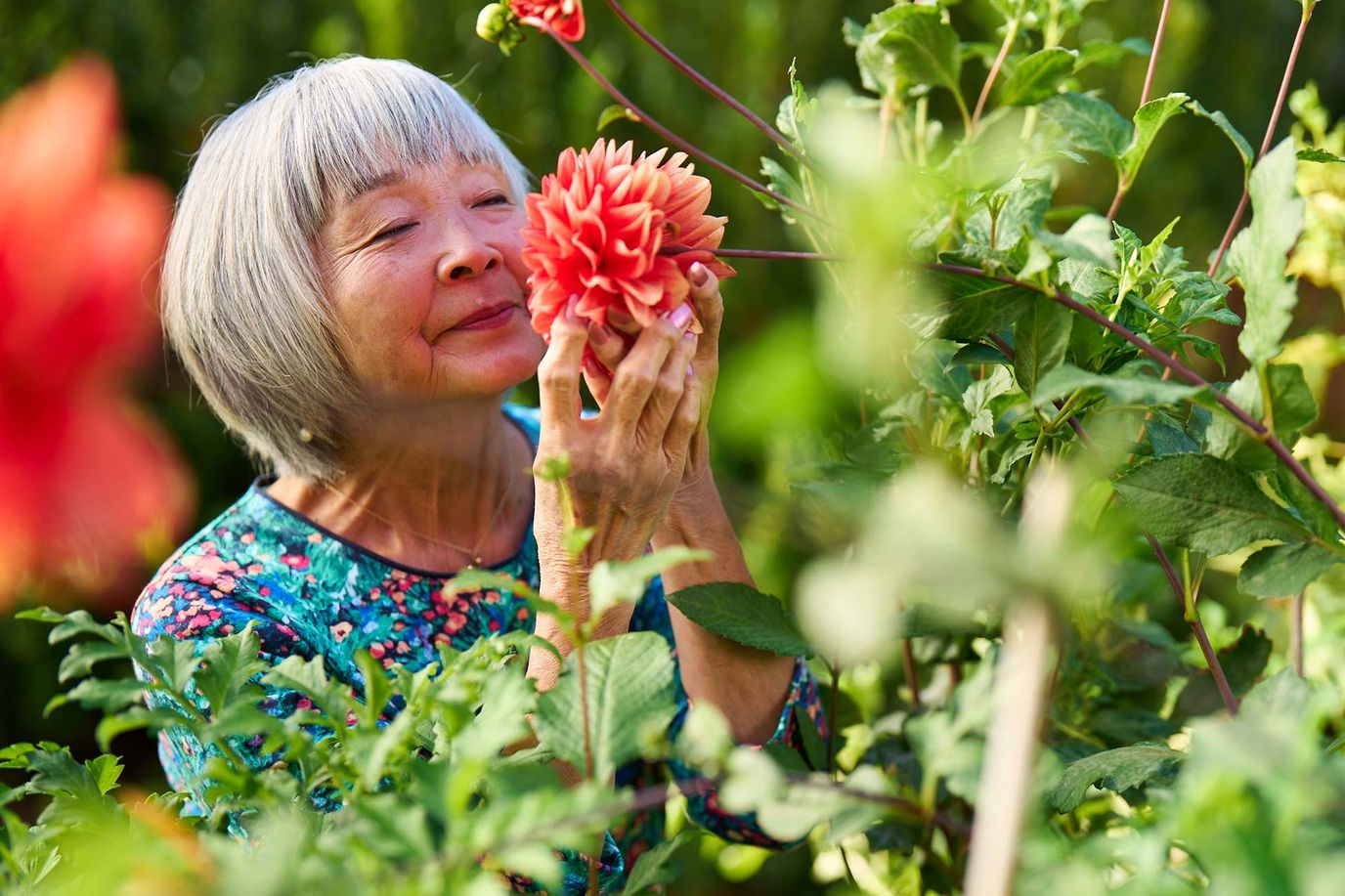 Senior woman enjoying flowers in a garden