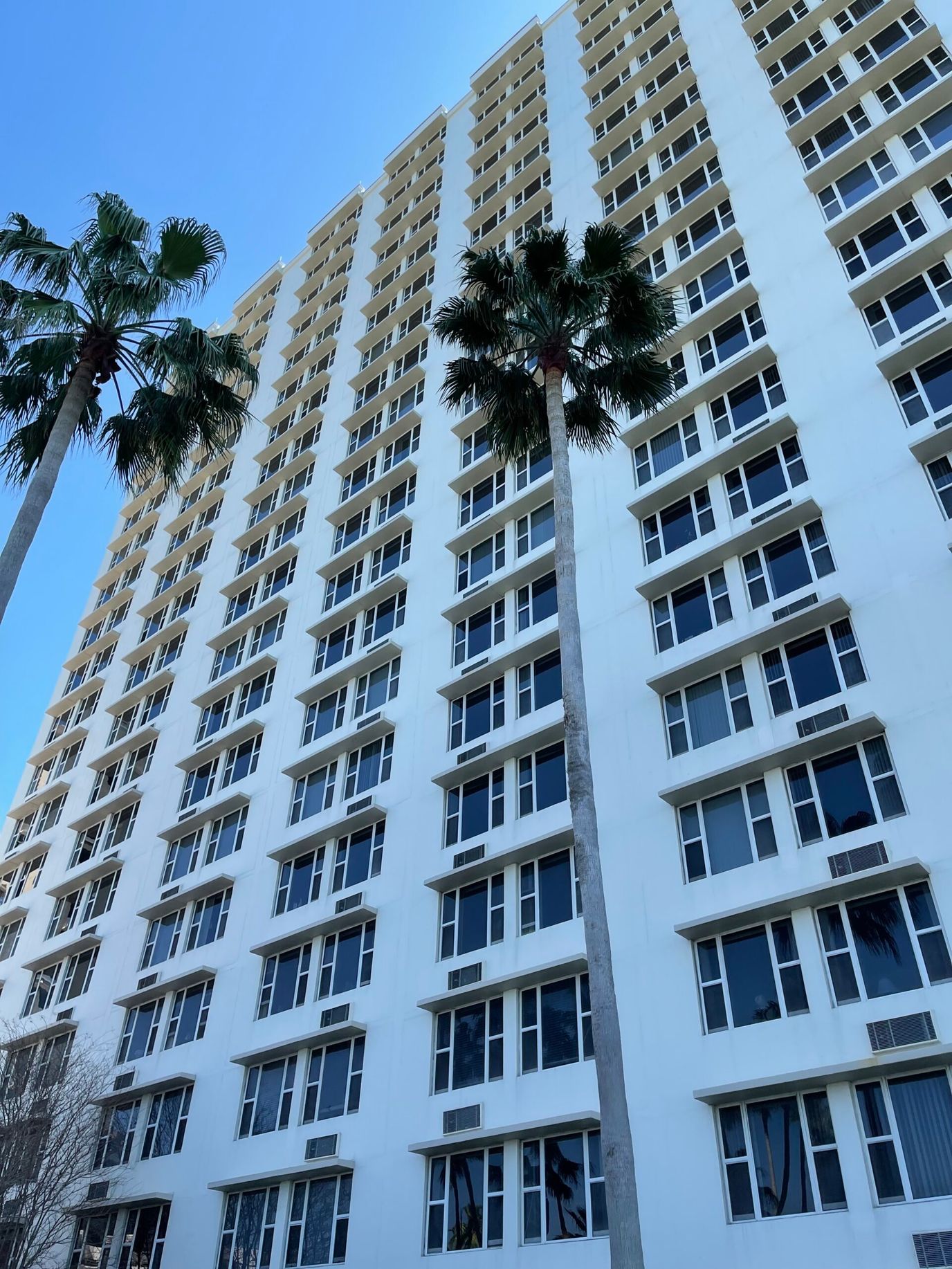 Exterior view of a tall assisted living building with palm trees