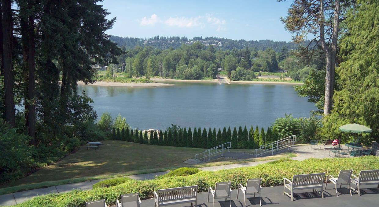 Scenic view of a river with lush greenery