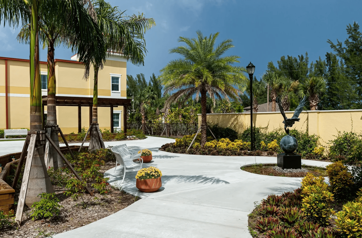 A serene outdoor space with pathways and palm trees