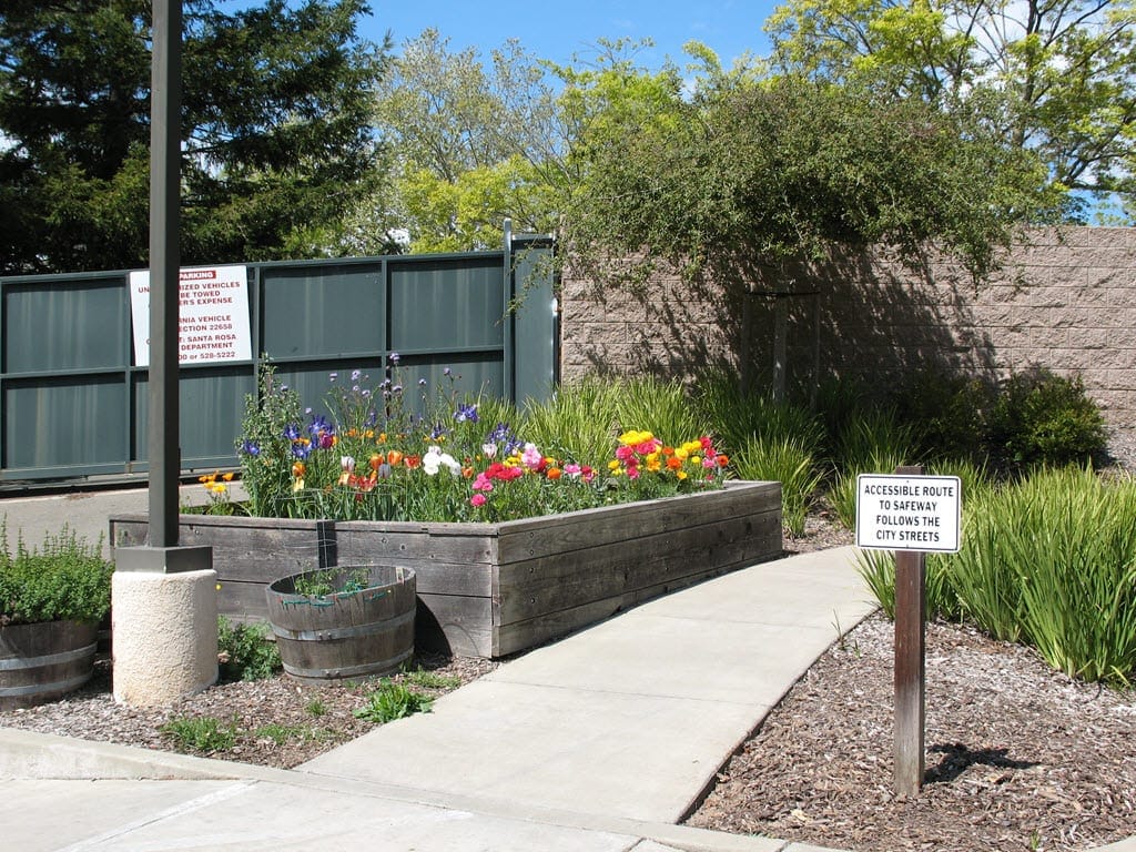 Vibrant flower garden along a pathway