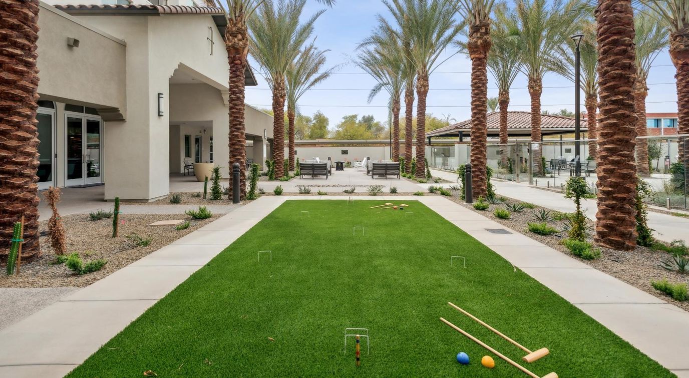 Outdoor recreational area with palm trees and lawn