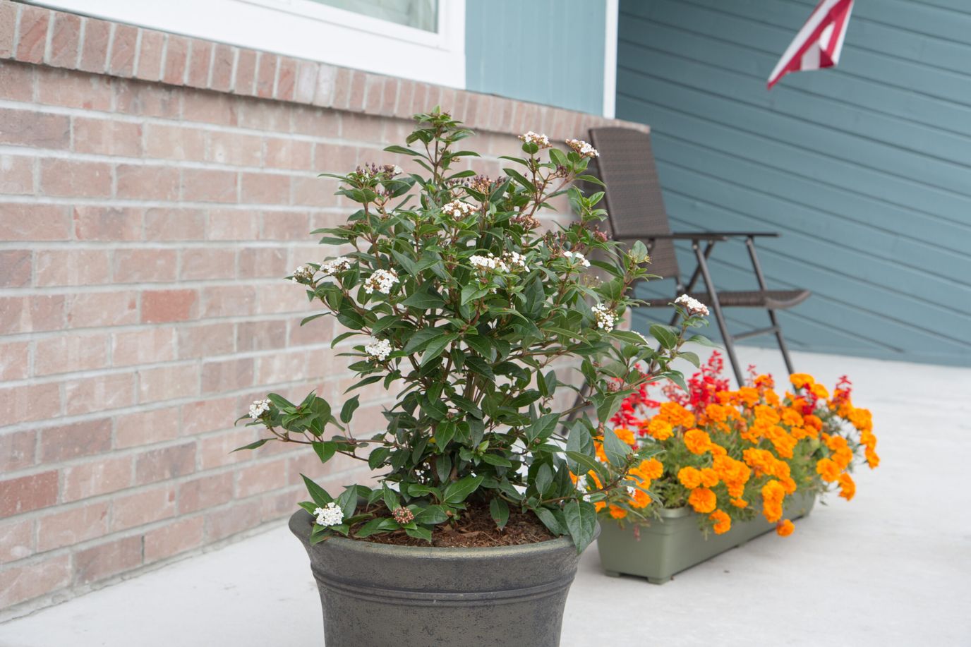 Colorful flowers and a potted plant by a porch