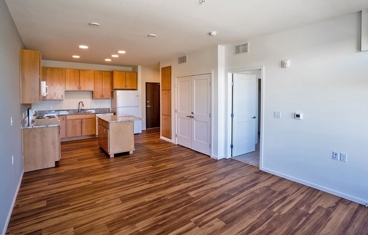 Spacious kitchen and living area with wooden floors and cabinetry